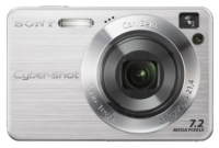 Ремонт Sony Cyber-shot DSC-W110